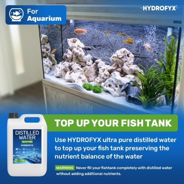Aquarium with fish and plants, highlighting the use of HYDROFYX distilled water to top up fish tanks without altering nutrient balance.