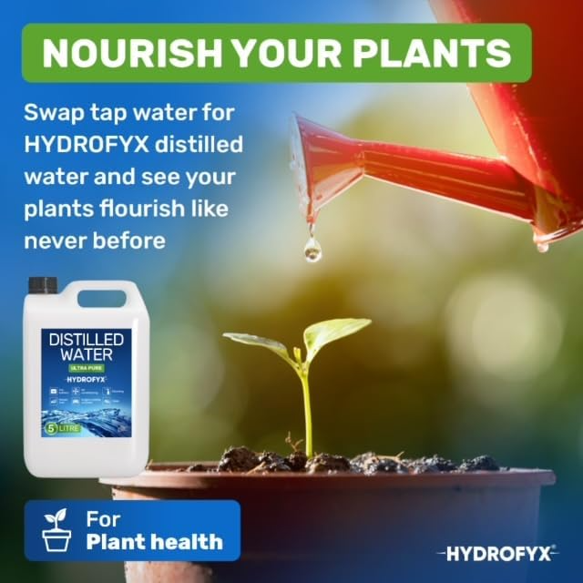 Plant being watered with HYDROFYX distilled water to encourage healthier growth and prevent mineral buildup in soil.